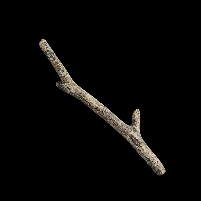 Branch 3d model Branch 3d model