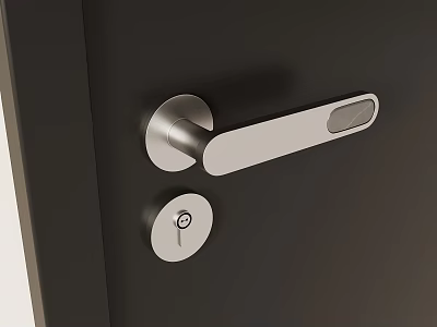 Modern Silver Metal Door Handle With Keyhole And Contemporary Design on Dark Door Surface 3d model