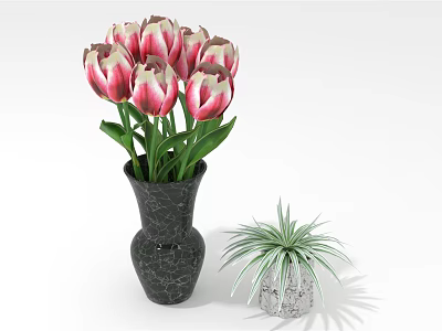 Pink And White Tulips In Black Cracked Vase With Green Leaves And Small Succulent 3d model