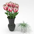 Pink And White Tulips In Black Cracked Vase With Green Leaves And Small Succulent