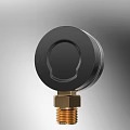 Pressure Gauge With White Dial MPa Scale Pointer And Brass Threaded Connector
