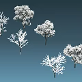 Six Snow Covered Trees In Winter Landscape With Dark Blue Background 3d model