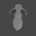 Gray Elephant With White Tusks Standing In Savanna Under Blue Sky