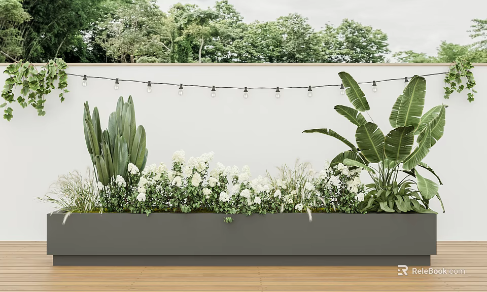 Rectangular Planter With Potted Cactus White Flowers And Large Leaves Against Wall And String Lights 3d model