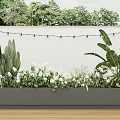 Rectangular Planter With Potted Cactus White Flowers And Large Leaves Against Wall And String Lights 3d model