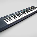 Musical Instrument CASIO Electronic Keyboard With Black And White Keys And Control Buttons 3d model