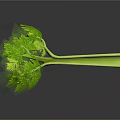 Fresh Green Celery Stalk With Vibrant Leaves And Reflection On Black Surface 3d model