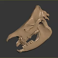 Detailed Copper Colored Human Skull Model Anatomical Medical Device For Education Training
