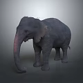 Realistic Grey Elephant Standing With Detailed Textured Skin On Neutral Background
