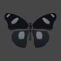 Black And White Spotted Butterfly Game Character Flying In Animated Scene