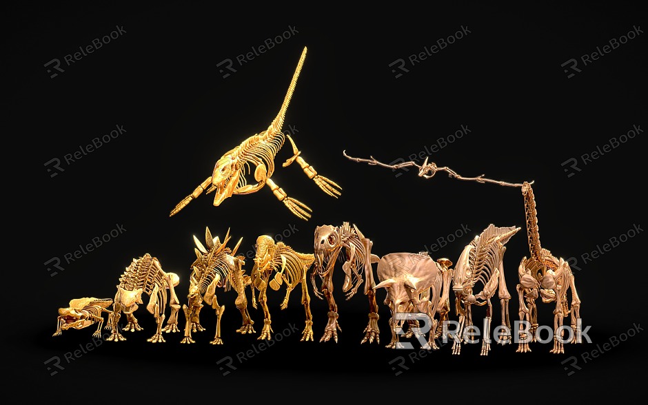 dinosaur fossil animal skeleton skeleton model