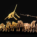 dinosaur fossil animal skeleton 3d model