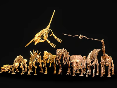 Golden Reptile Dinosaur Skeletons Collection Featuring Various Species And Body Structures 3d model