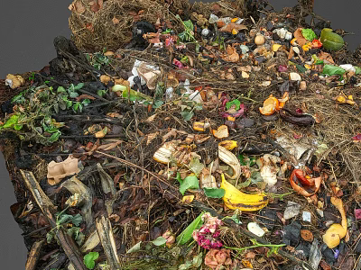 Natural Ground Cover with Organic Mulch Leaves Twigs and Plant Debris 3d model