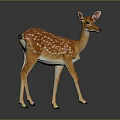 Brown White Spotted Deer With Pink Ears Standing On Dark Background