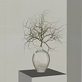 Textured Terracotta Vase With Spreading Branches On White Table Neutral Background 3d model