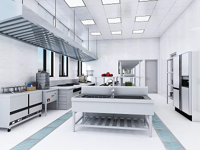 Modern Commercial Kitchen Interior Design With Stainless Steel Workbench Range Hood And Appliances 3d model
