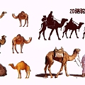 2D Camel Silhouette 3d model