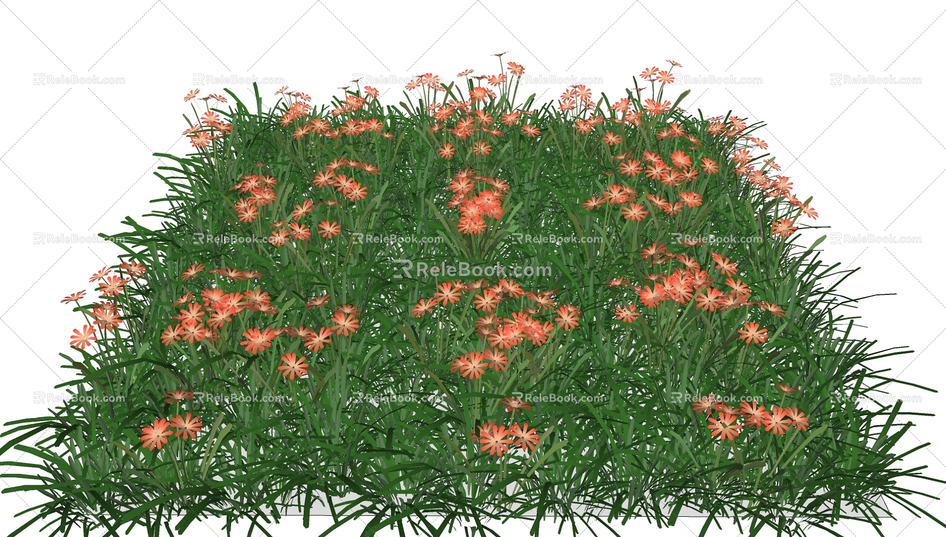 Plants 3d model