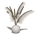 White Spherical Vase With Dried Feathery Floral In Modern Minimalist Style