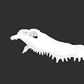 Detailed White Reptile Skull Skeleton with Sharp Teeth on Black Background
