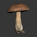 Fresh Edible Mushroom With Red Cap And Brown Stem On Dark Background
