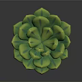 Succulent Plant With Green Plump Leaves In Orange Pot With Purple Geometric Patterns