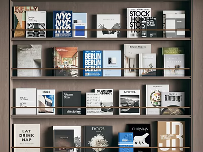 Books and Magazines on Wooden Shelves with Various Covers and Titles 3d model