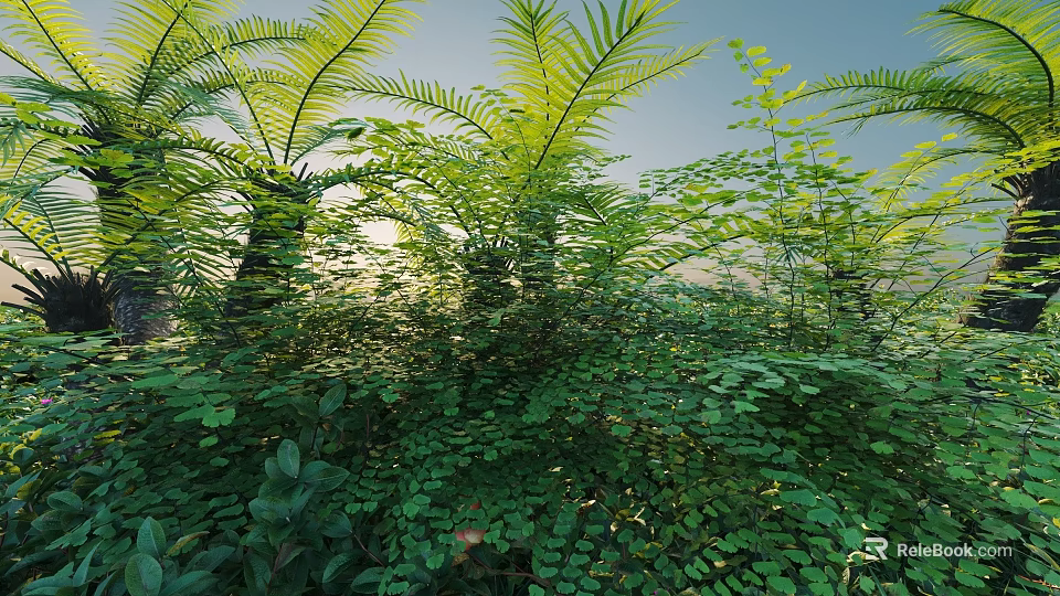 Lush Green Shrubs And Ferns In Natural Setting With Sunlight And Blue Sky 3d model 