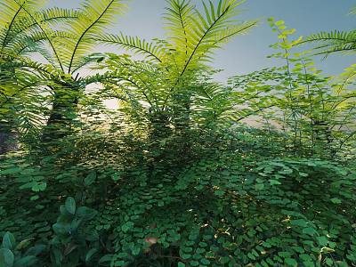 Lush Green Shrubs And Ferns In Natural Setting With Sunlight And Blue Sky 3d model
