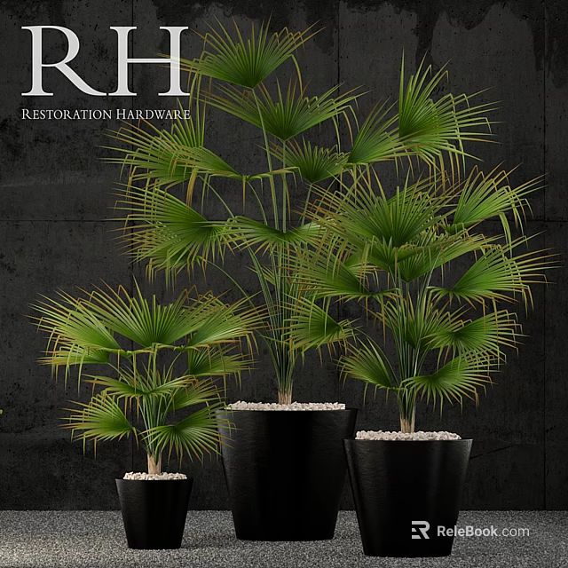 Lush Green Palm Plants In Black Pots With White Pebbles For Garden Decor 3d model 