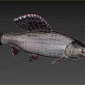 Aquatic Fish With Streamlined Body Red Fins Silver Striped Skin And Black Head