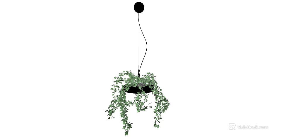 Stylish Hanging Basket Planter With Lush Green Trailing Vines 3d model 
