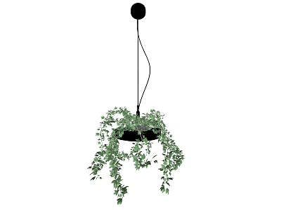 Stylish Hanging Basket Planter With Lush Green Trailing Vines 3d model