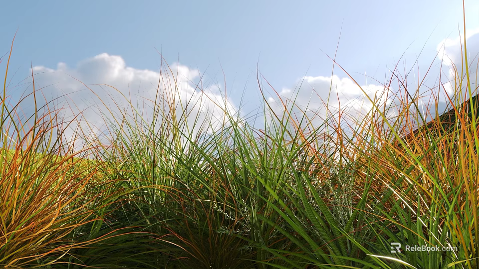 Green and Orange Grass in Field With Blue Sky and White Clouds 3d model 