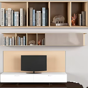 Modern TV background wall WOHNWAND TV rack cabinet decoration books 3d model