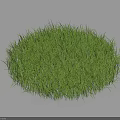 Lush Green Grass Round Patch With Vibrant Texture Against Dark Background 3d model