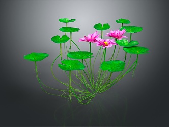 Modern Lotus Leaf Water Grass 3d model