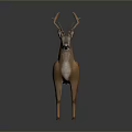 3D Rendered Realistic Brown Deer Model With Antlers Standing On Dark Background