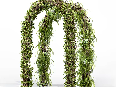 Elegant Natural Green Plant Archway Decorated With Lush Vines And Foliage 3d model