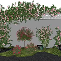 Vibrant Flower Garden With Pink Blossoms Climbing Vines Shrubs Green Lawn And Stone Accents