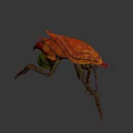 Sci Fi Fantasy Game Movie Character With Red Carapace Yellow Body And Long Antennae