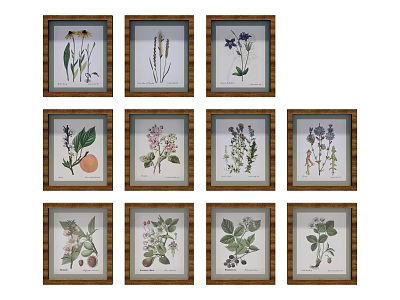 Framed Botanical Prints Collection Featuring Various Plants Herbs And Fruits 3d model