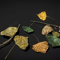 Dry Leaves And Branches Display Natural Autumn Texture On Dark Surface 3d model