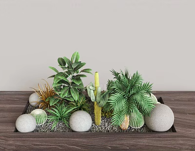Various Green Plants In Wooden Tray With Succulents Cactus Ferns White Pebbles And Small Stones 3d model