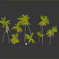 Green Palm Trees With Lush Leaves In Various Heights On Dark Background With Reflections