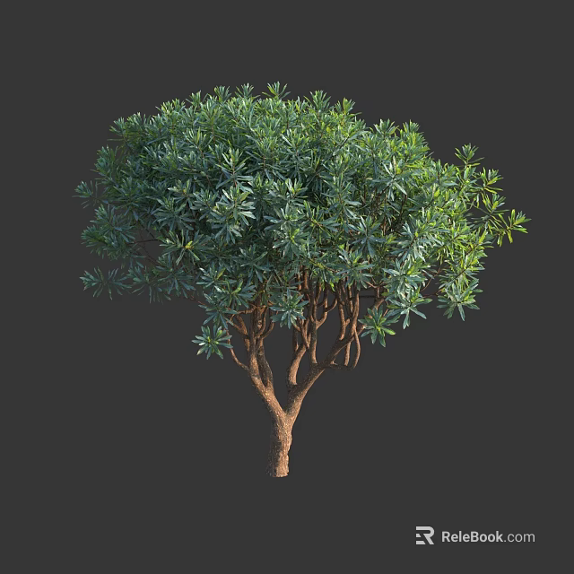 Lush Green Arbor With Brown Trunk And Dense Foliage In Natural Growth 3d model 