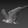 Majestic Gray Falcon Soaring Gracefully With Extended Wings And Patterned Feathers In Clear Sky