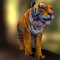 Tiger Reptile Feline Amur Tiger 3d model