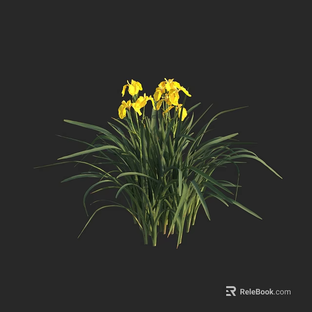 Vibrant Aquatic Plants With Yellow Flowers And Long Green Leaves 3d model 